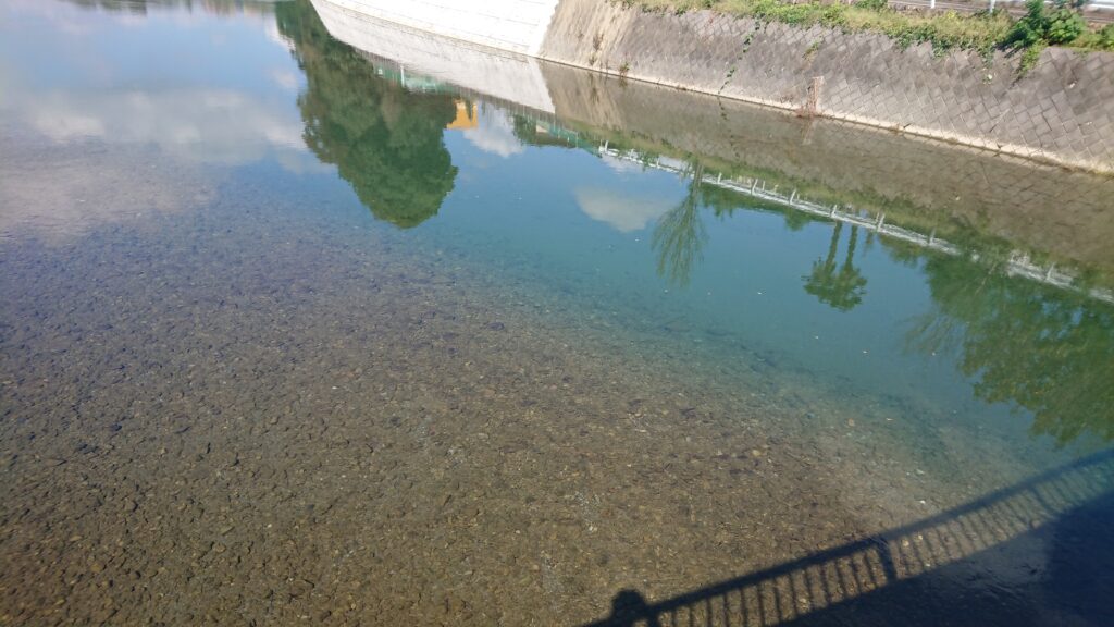 淀むマルチ商法